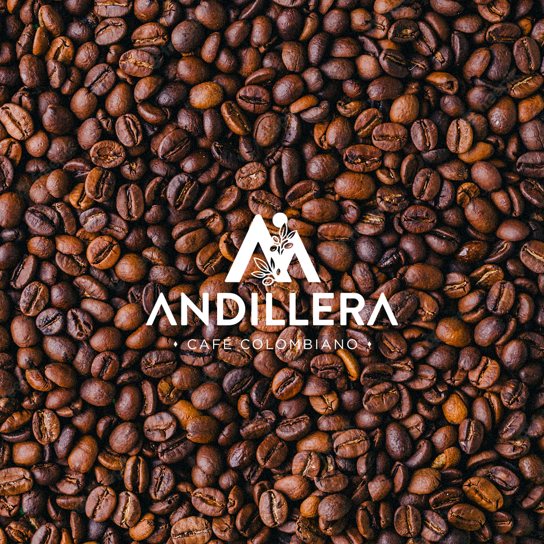 ANDILLERA_05 ANDILLERA_05