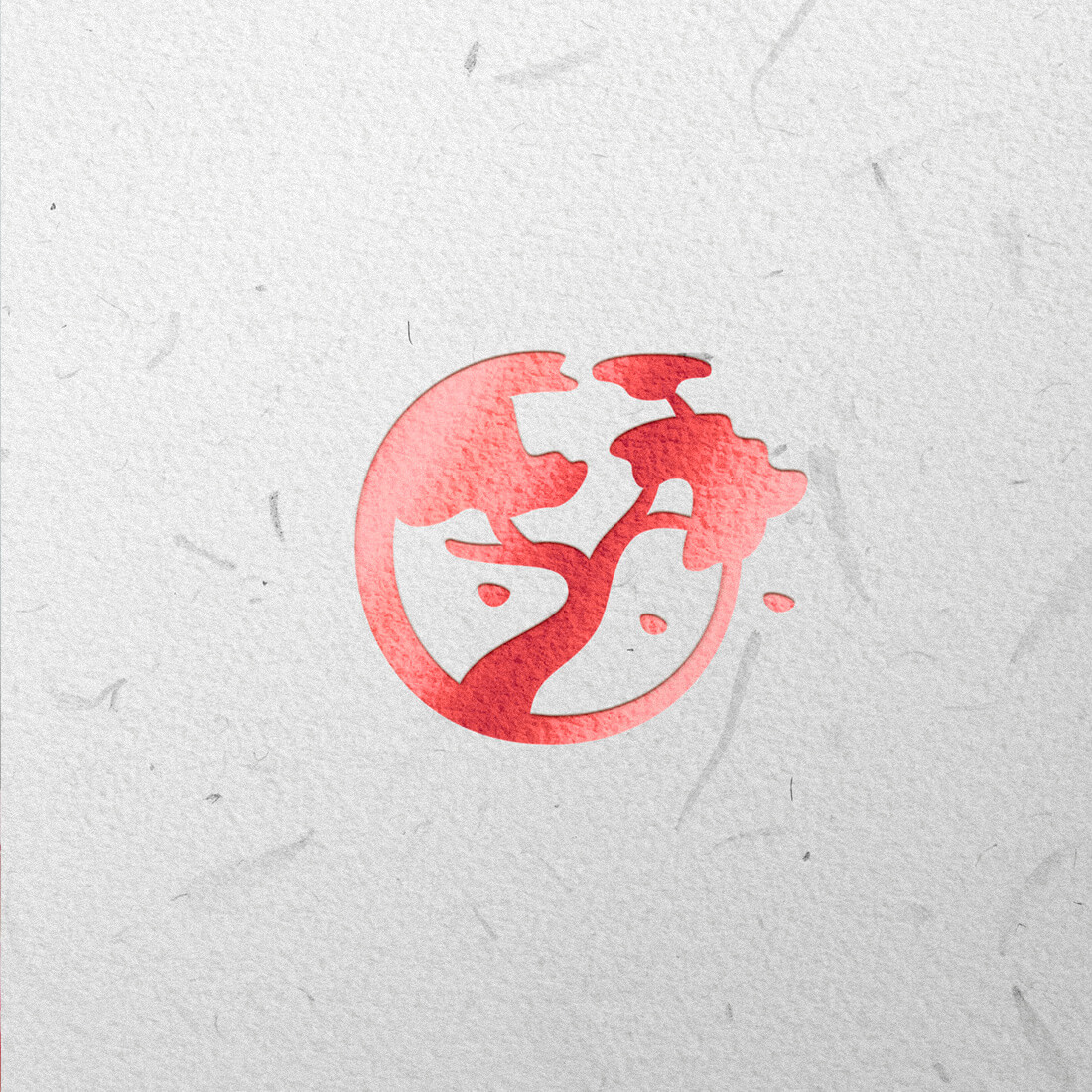 Agencia de marca 24B, diseño de marca, diseño de logo, jhony velasco, 24B, logos cali.